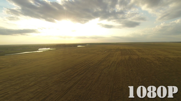 Golden Wheat Field Panorama