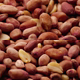Spinning Pile of Roasted Peanuts - VideoHive Item for Sale