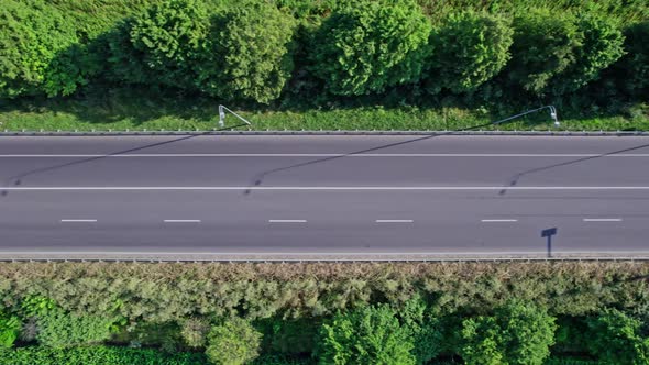 Car Driving Down an Asphalt Road Crossing the Vast Forest