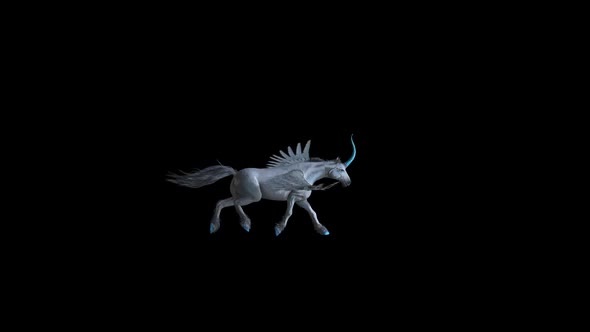 Pegasus Run 1