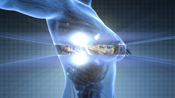 Human Body With Glow Blood Vessels alt