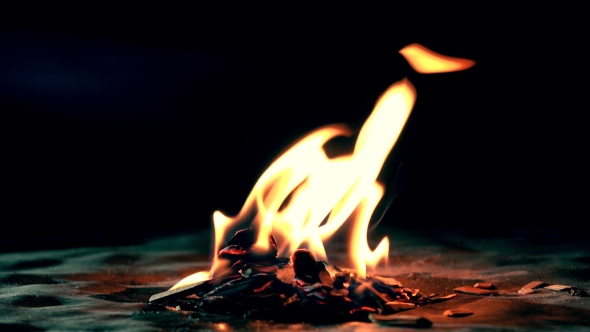 Burning Wooden Chips in The Dark. Small Fire Against Dark Background.   Shot