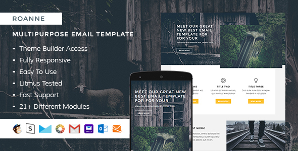 Roanne – Responsive HTML Email + StampReady, MailChimp & CampaignMonitor compatible files