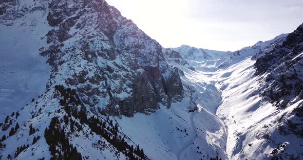 High Snowy Mountains Spruce Trees Grow in Places