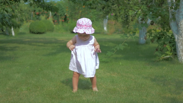 The Little Girl Walks on a Green Grass.