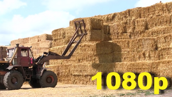 Hay Tractor Stacking Hay Bales