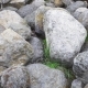 Group Of Big Boulder Stones Lying In Field, Natural Geologic Background - VideoHive Item for Sale