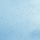 Gnats Cloud Swarming In Front Of Blue Sky - VideoHive Item for Sale