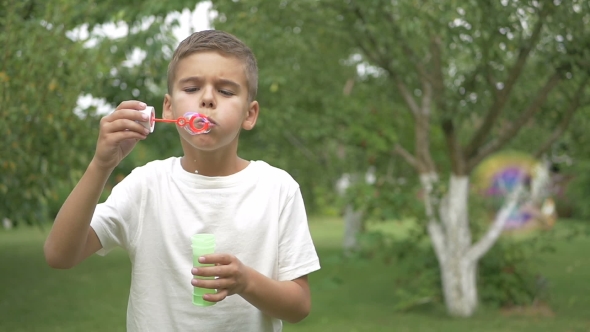 The Little Boy Blows a Bubbles In The Garden