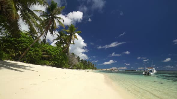 Palmtree Beach Tropical Lagoon