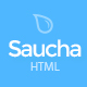 Saucha - Marketing & SEO Services Template - ThemeForest Item for Sale