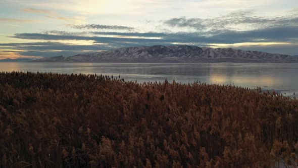 Flying over the reeds and Utah Lake as it is frozen with Ice