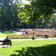 City Park