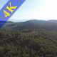 Big Forest Aerial View - VideoHive Item for Sale