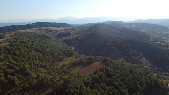 Mountain and Forest