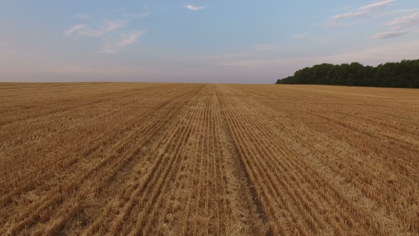 Aerial Moving Of Wheat Stubble In