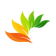 Leaf Logo Design - GraphicRiver Item for Sale