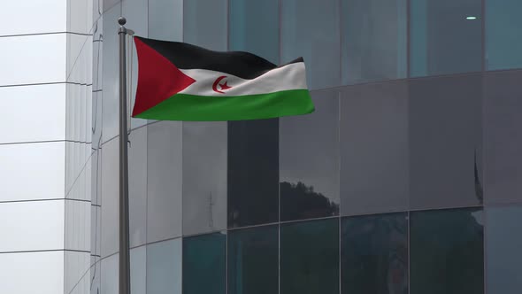 Western Sahara Flag Background 4K
