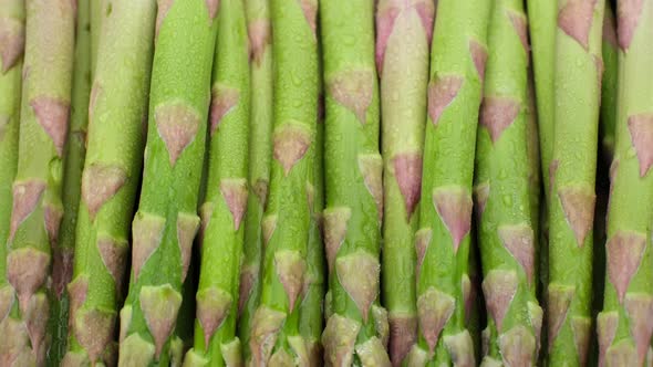 fresh green asparagus close up, top view. Sliding shot.