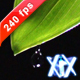 Drop Falling From The Leaf - VideoHive Item for Sale