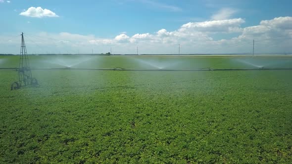 Automatic Sprinklers on Field, Agricultural Irrigation System, Aerial Shot