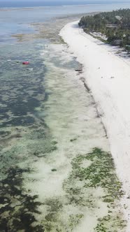 Tanzania  Vertical Video of Low Tide in the Ocean Near the Coast of Zanzibar Slow Motion