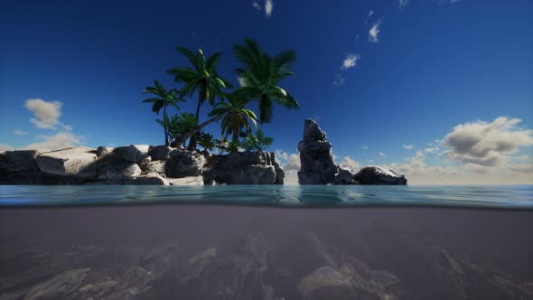 Brown Muddy Water and Palms on Island alt