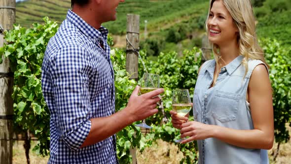 Happy couple having wine in vineyard