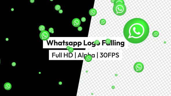 Whatsapp Icon Logo Falling with Alpha