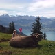 Woman with Cow Switzerland - VideoHive Item for Sale