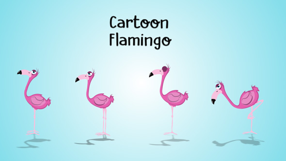 Cartoon Flamingo Animation