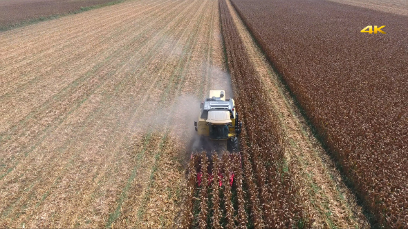 Combine Harvesting