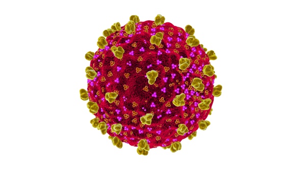 Covid 19 Infected Cell V6 alt