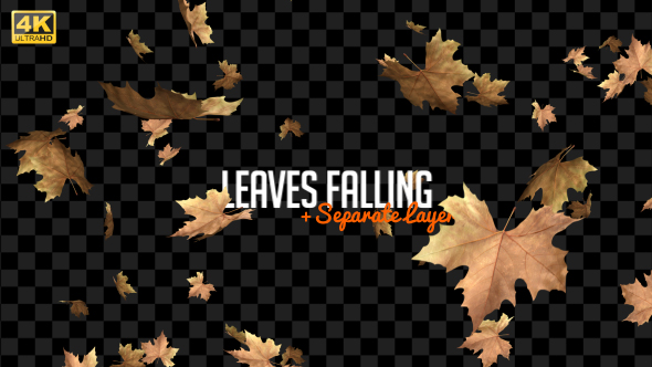 Autumn Leaves Falling alt
