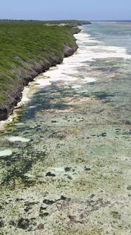 Tanzania  Vertical Video of Low Tide in the Ocean Near the Coast of Zanzibar Slow Motion