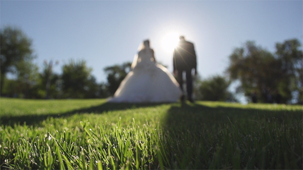 Wedding Couple Walking on the Green Grass in the Sun