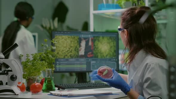 Biologist Woman Writing Medical Expertise While Holding Petri Dish with Vegan Beef Meat