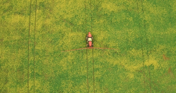 Aerial Shot Of Tractor Spraying Field Canola