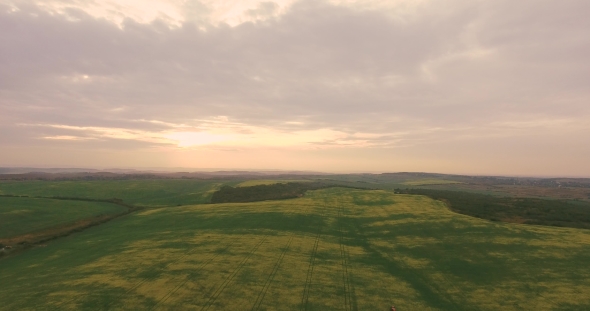 Tractor Equipment Fertilize Spray Agriculture Canola Crop Plant Field Near Forest in Sunset