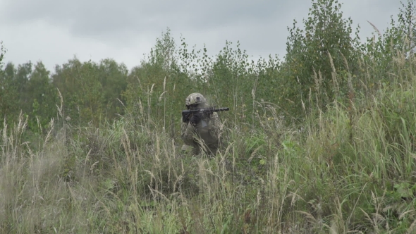 War In The Grass Attacking Enemy. Soldier Shoots In a Field