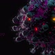 Coronavirus (COVID-19) medical animation — black virus - VideoHive Item for Sale