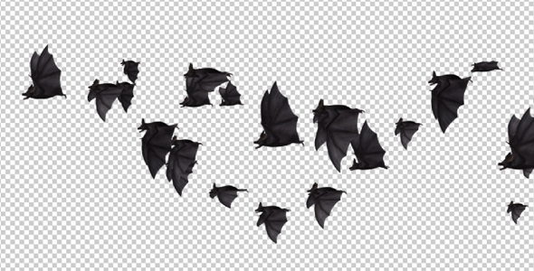 Flock of Bats - Side Flying - II - Right to Left alt