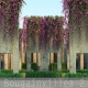 Bougainvillea 2 - 3DOcean Item for Sale
