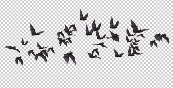Flock of Bats - Angle Flying - I - Left to Right alt