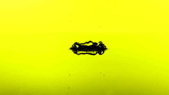 A Drop of Water Falls on the Surface of a Transparent Liquid in Slow Motion.