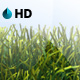 HD GRASS BACKGROUND LOOP - VideoHive Item for Sale