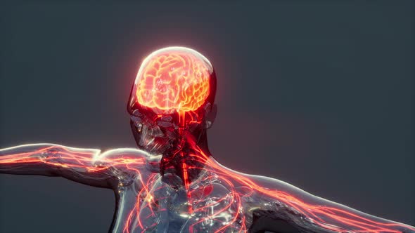 Human Headache Concept Glowing Xray Brain