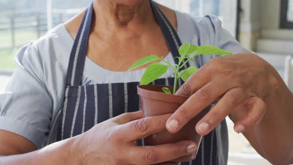 African american senior woman wearing apron smiling while holding a plant pot at home