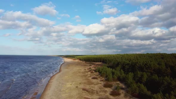 Garciems Beach, Latvia Baltic Sea Suny Winter Day Big Clouds Sand Dunes With Pine Trees. Aerial 4K