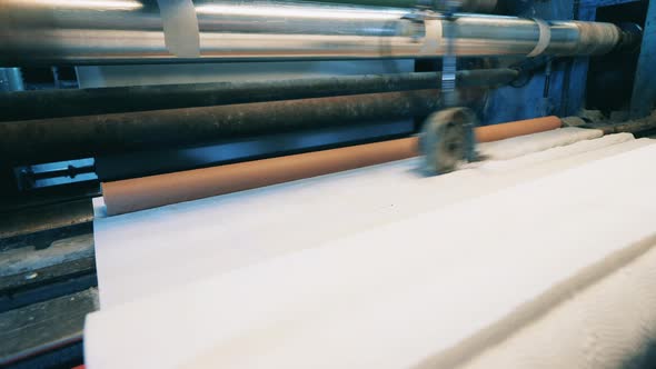 Working Paper Roll Cutting Machine at a Paper Factory